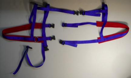 Blue Goat Wagon Harness 2