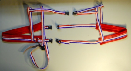 R/W/B Goat Wagon Harness 2